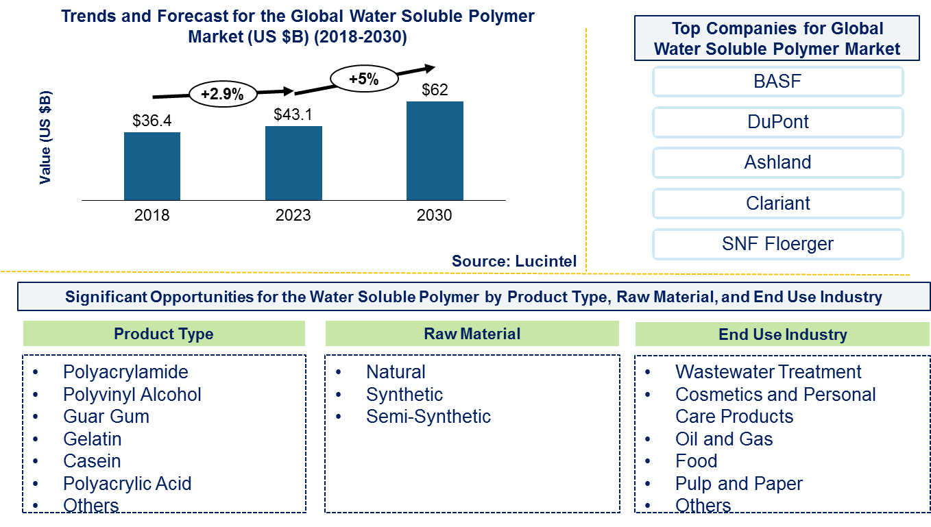 Water Soluble Polymer Market